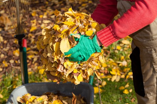 Environmental benefits of using skip hire services