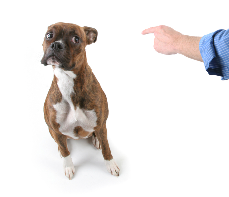 Simple Steps to Disposing PPE Waste Responsibly